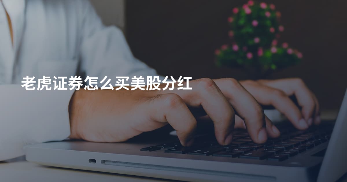 老虎证券怎么买美股分红