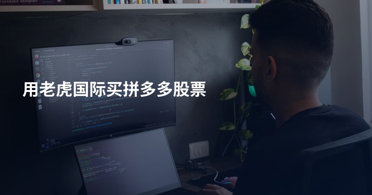 用老虎国际买拼多多股票