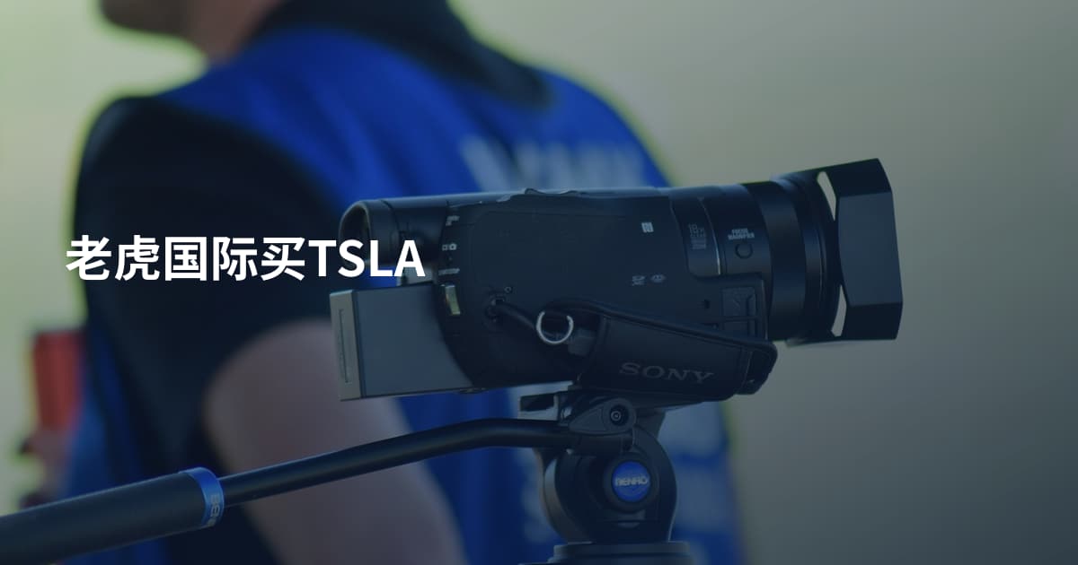 老虎国际买TSLA