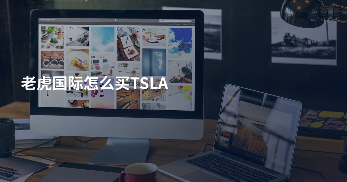 老虎国际怎么买TSLA