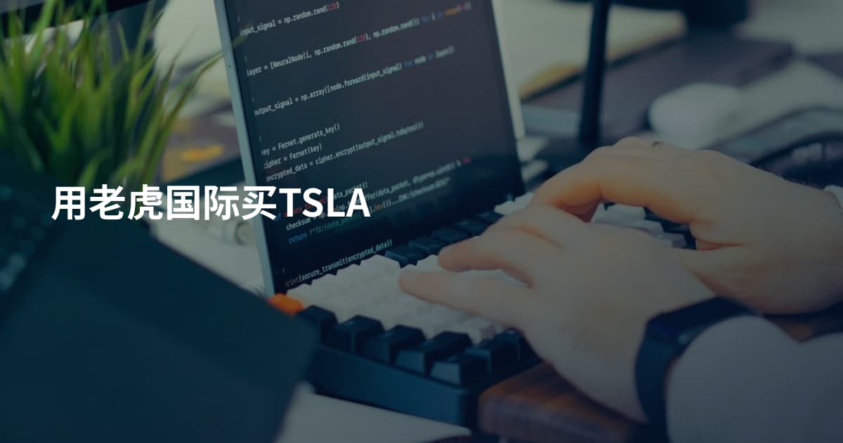 用老虎国际买TSLA
