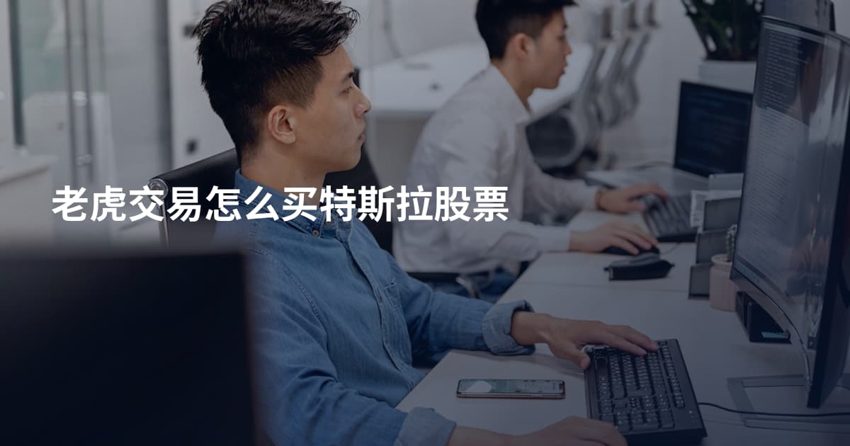 老虎交易怎么买特斯拉股票