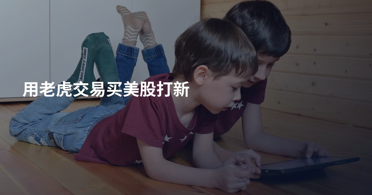 用老虎交易买美股打新