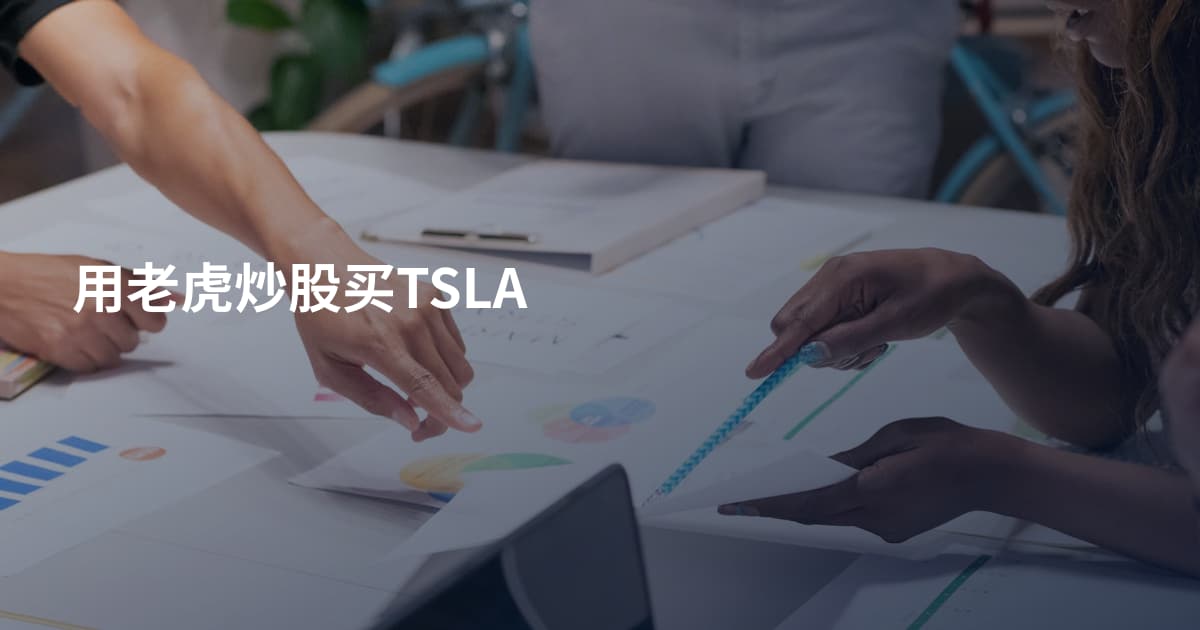 用老虎炒股买TSLA