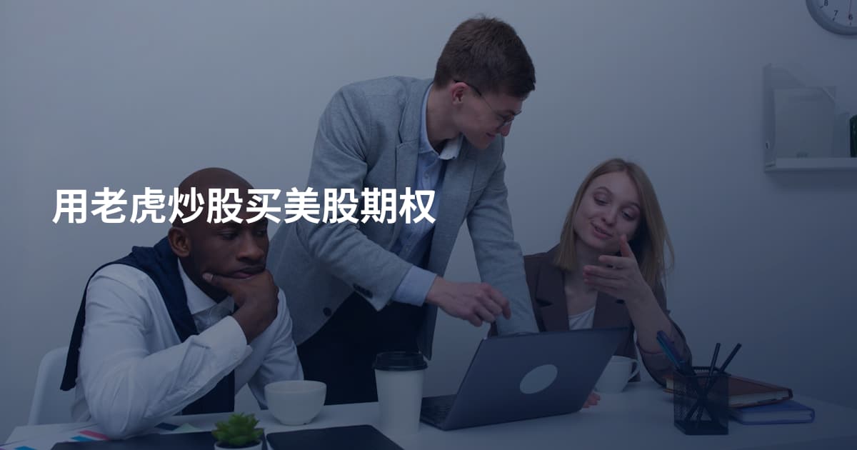 用老虎炒股买美股期权