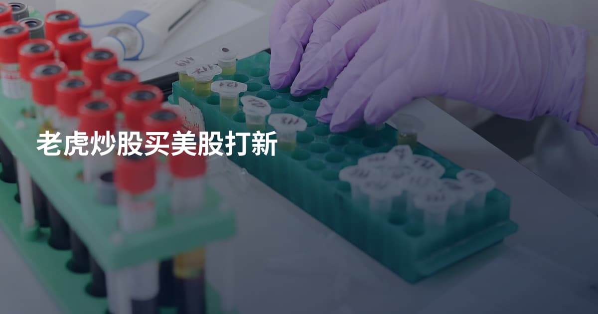 老虎炒股买美股打新