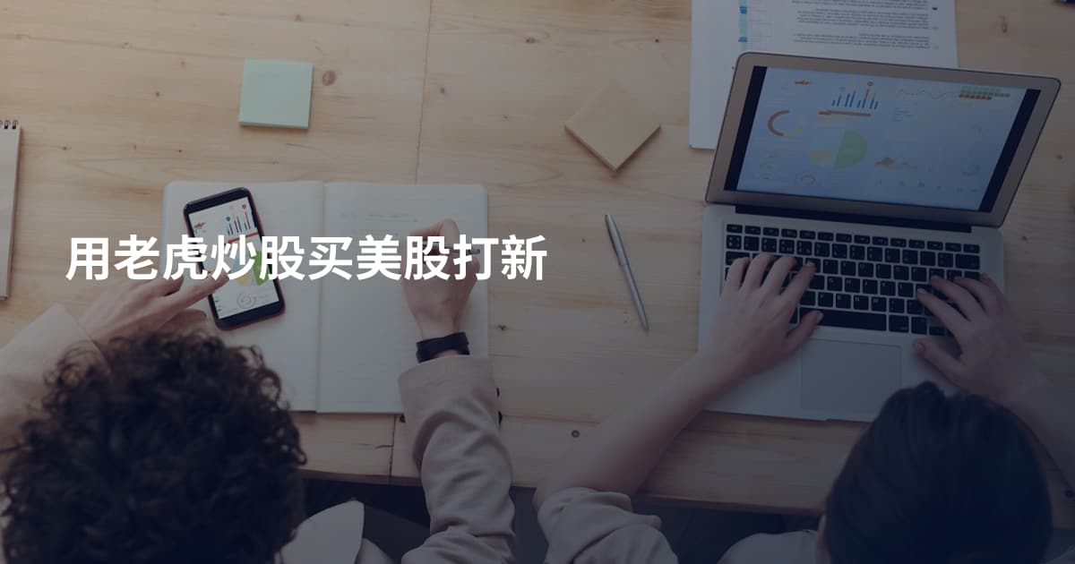 用老虎炒股买美股打新