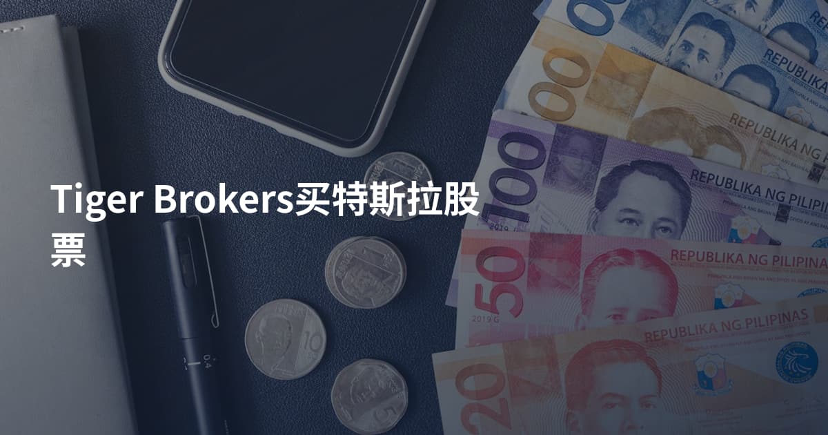 Tiger Brokers买特斯拉股票