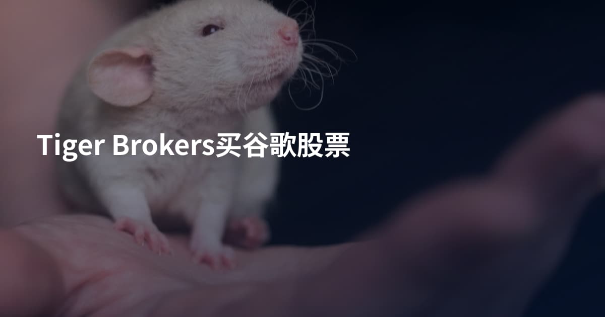 Tiger Brokers买谷歌股票