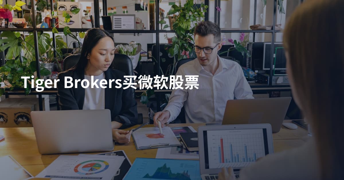 Tiger Brokers买微软股票