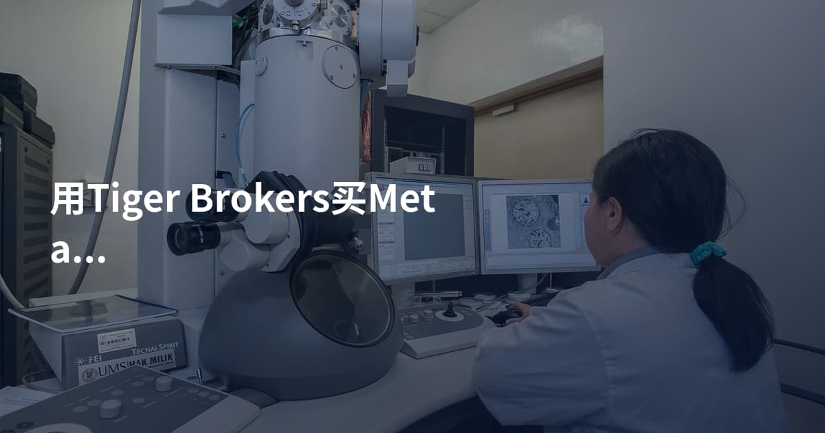 用Tiger Brokers买Meta股票