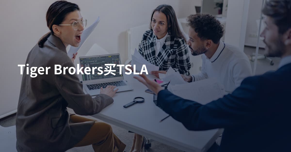 Tiger Brokers买TSLA