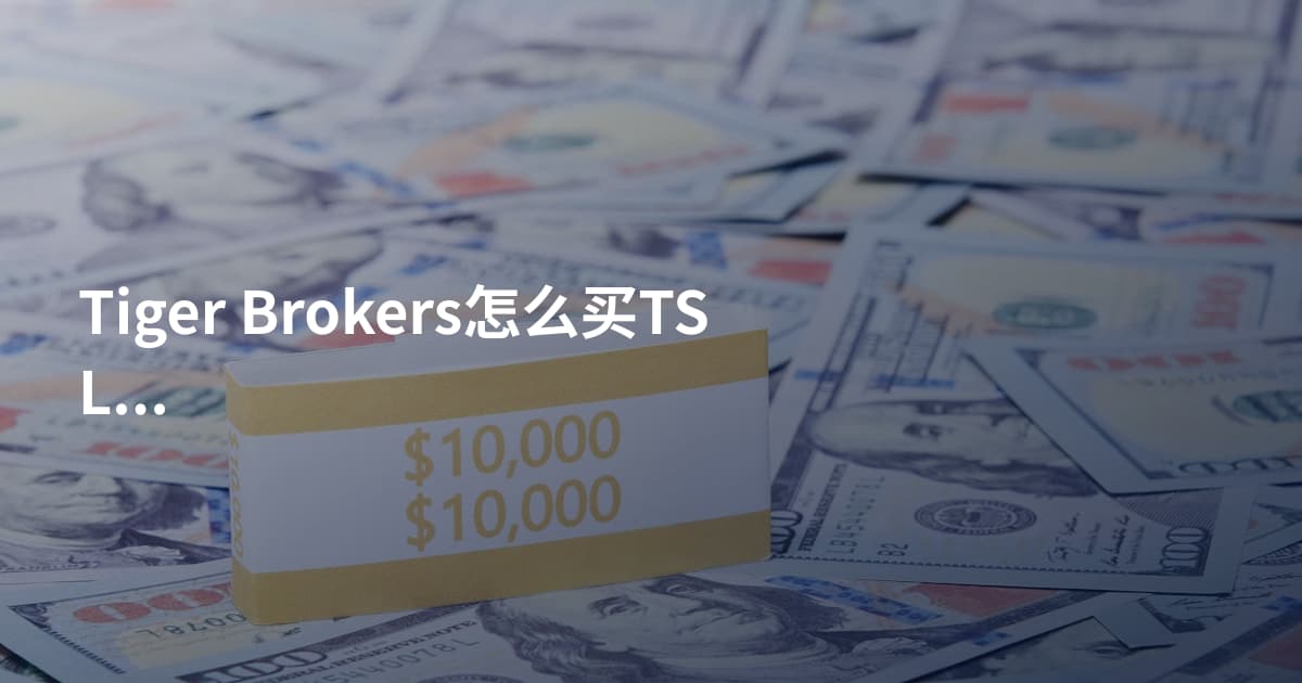 Tiger Brokers怎么买TSLA