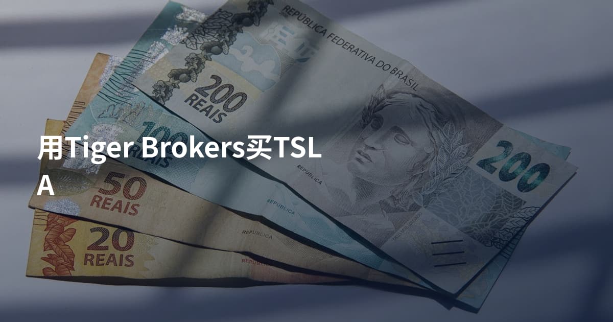 用Tiger Brokers买TSLA