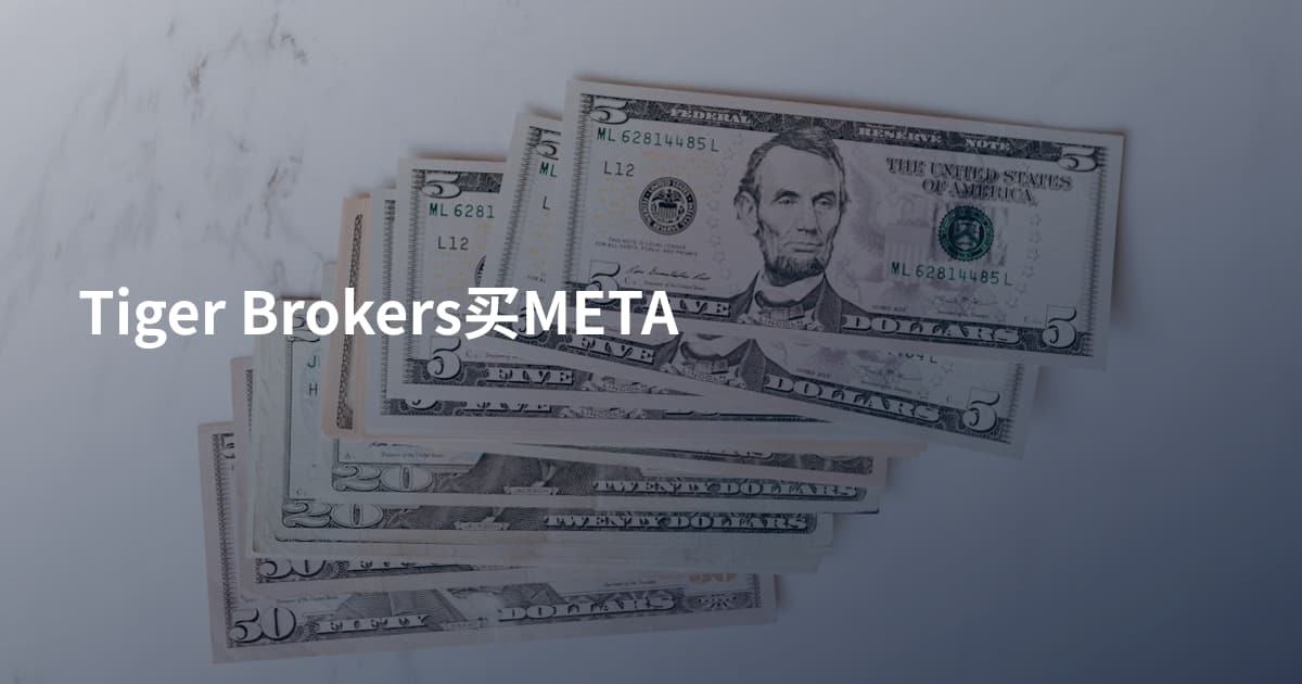 Tiger Brokers买META