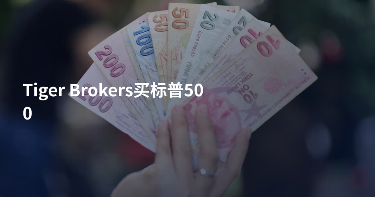 Tiger Brokers买标普500