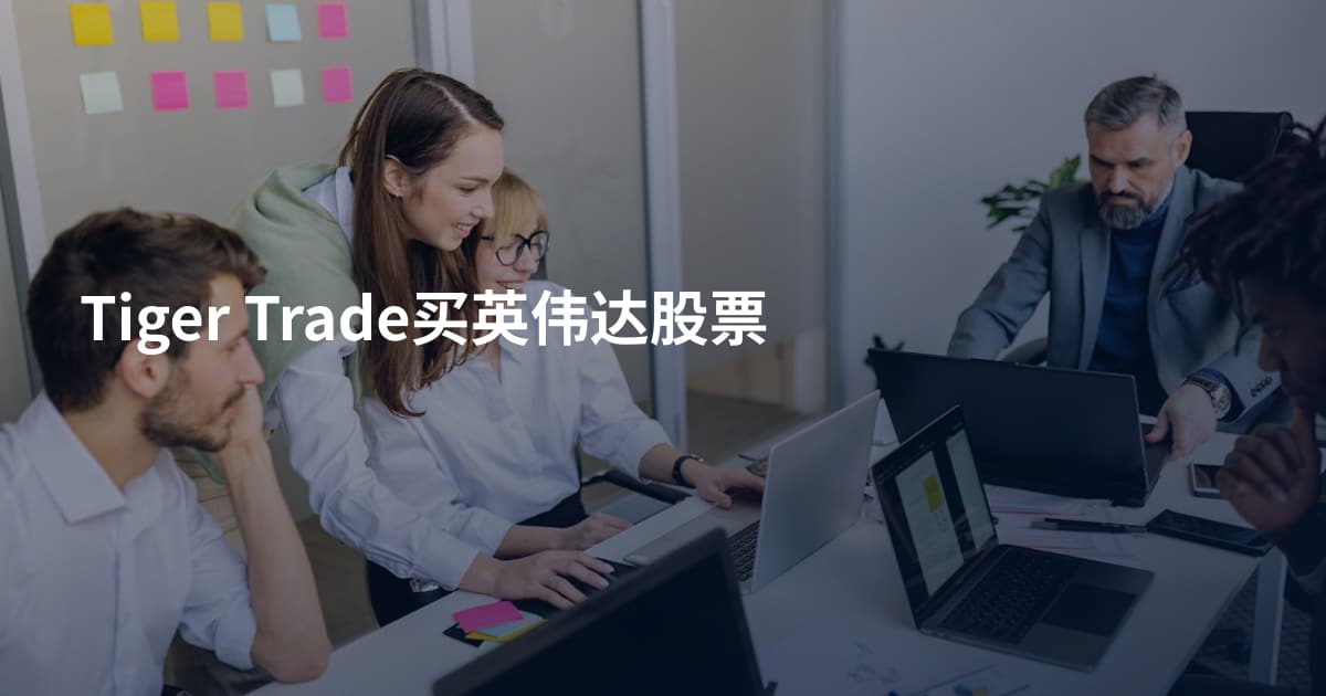 Tiger Trade买英伟达股票