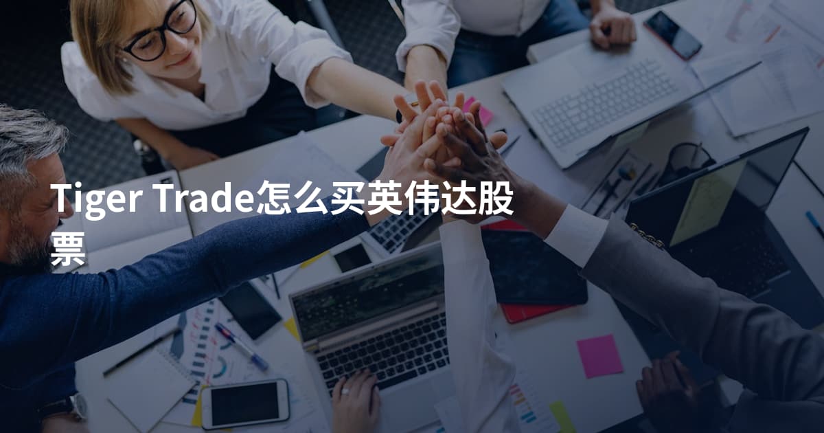 Tiger Trade怎么买英伟达股票