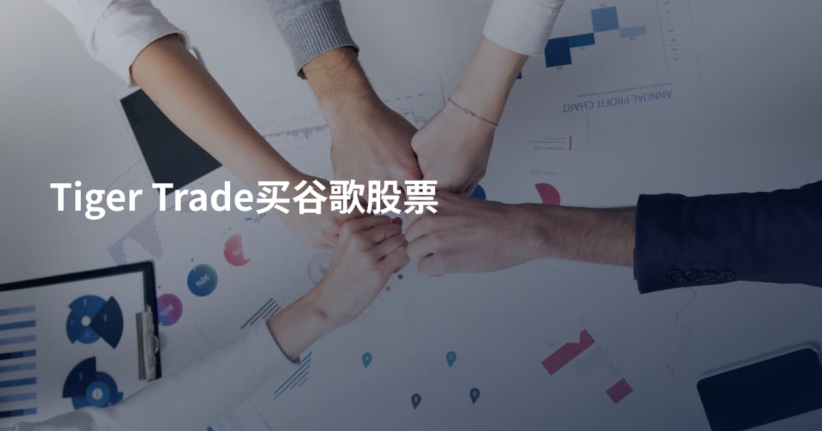 Tiger Trade买谷歌股票