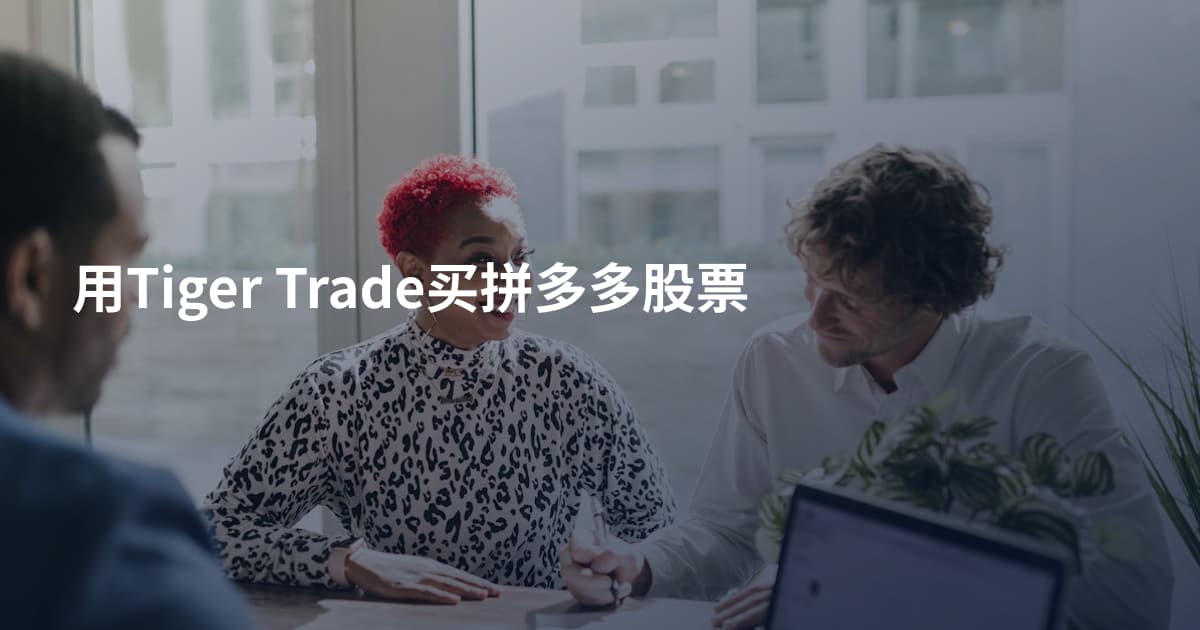 用Tiger Trade买拼多多股票