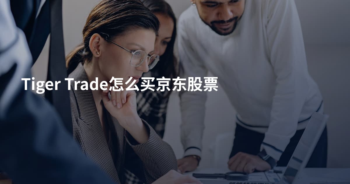 Tiger Trade怎么买京东股票