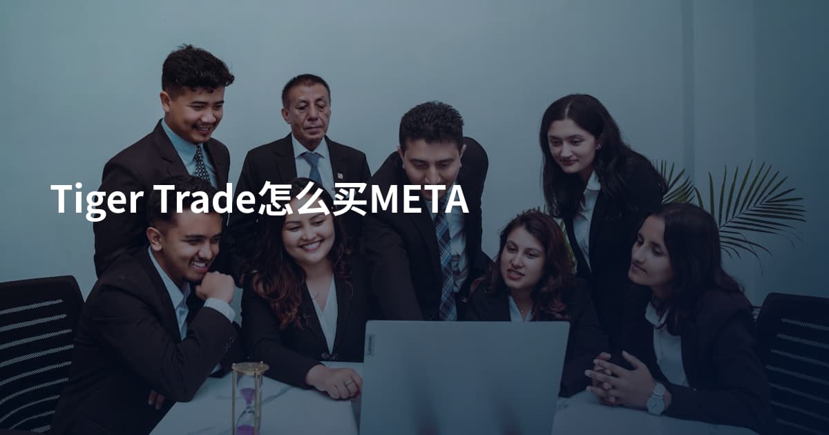 Tiger Trade怎么买META