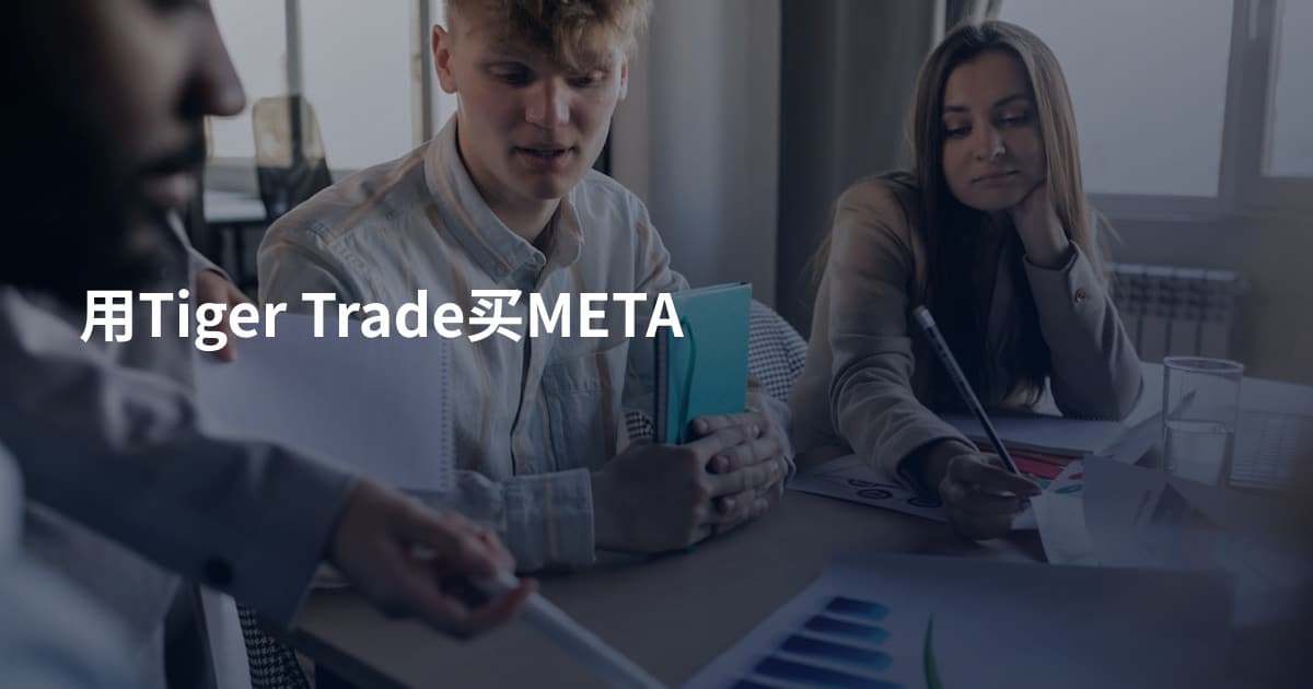 用Tiger Trade买META