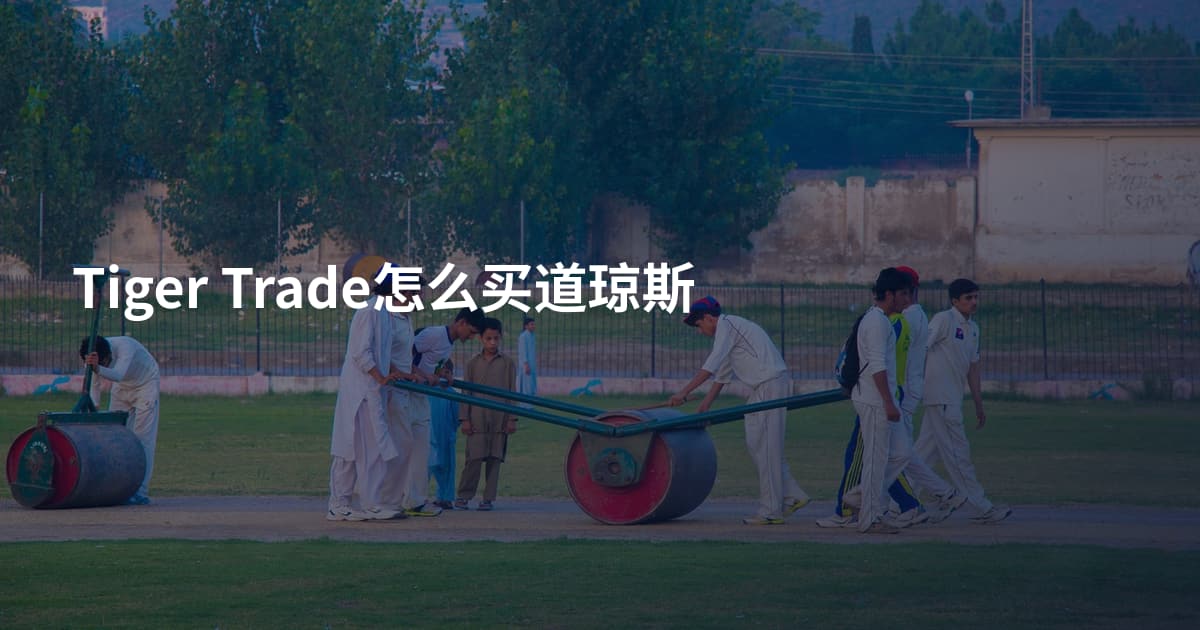 Tiger Trade怎么买道琼斯