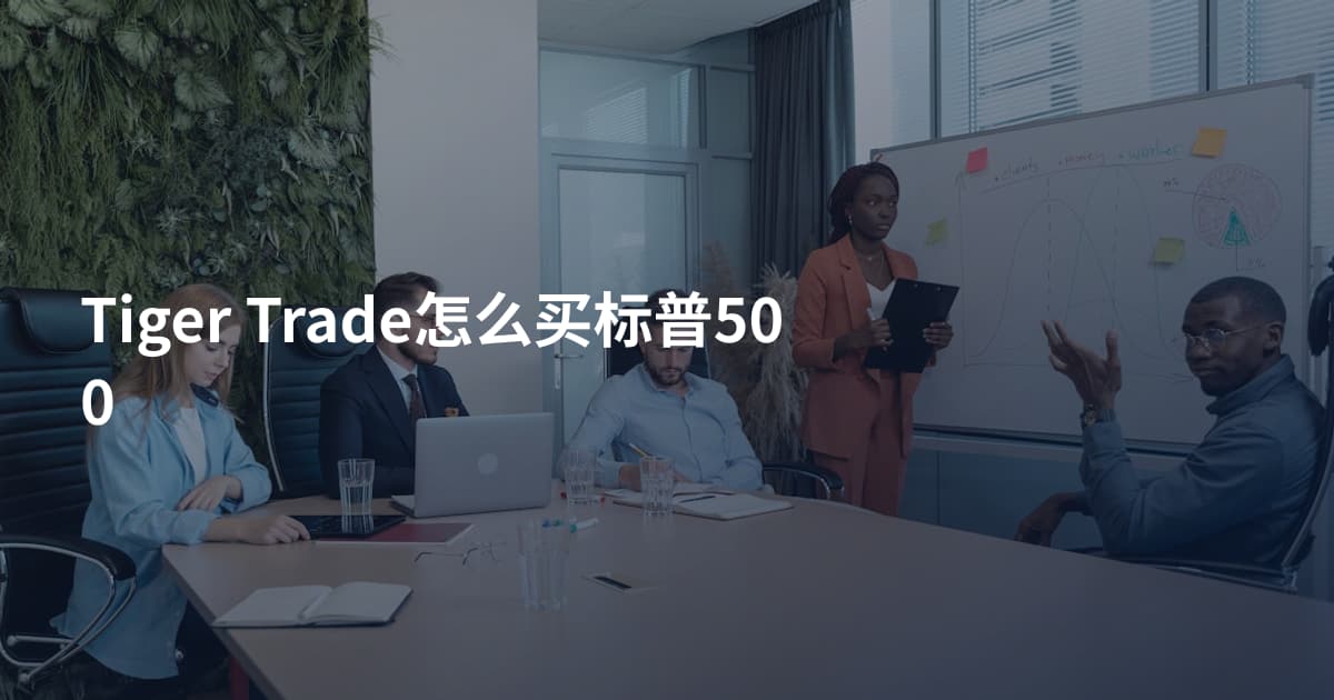 Tiger Trade怎么买标普500
