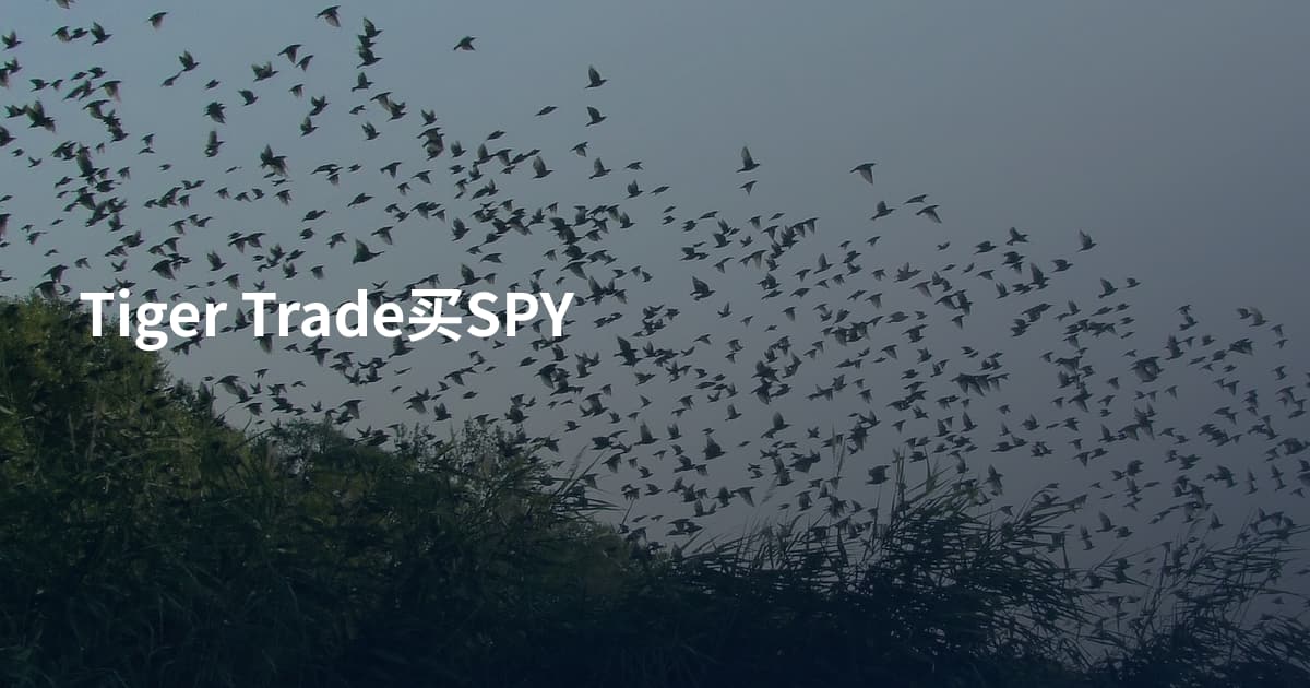 Tiger Trade买SPY