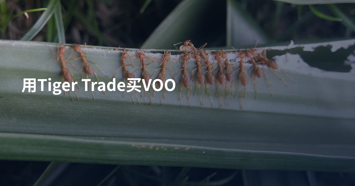 用Tiger Trade买VOO