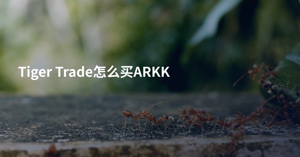 Tiger Trade怎么买ARKK
