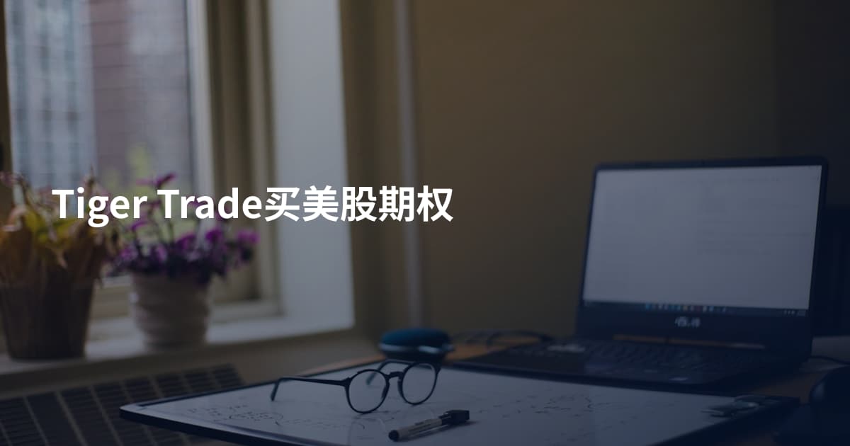 Tiger Trade买美股期权