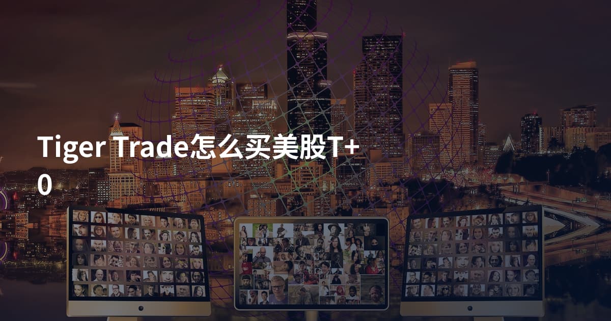 Tiger Trade怎么买美股T+0
