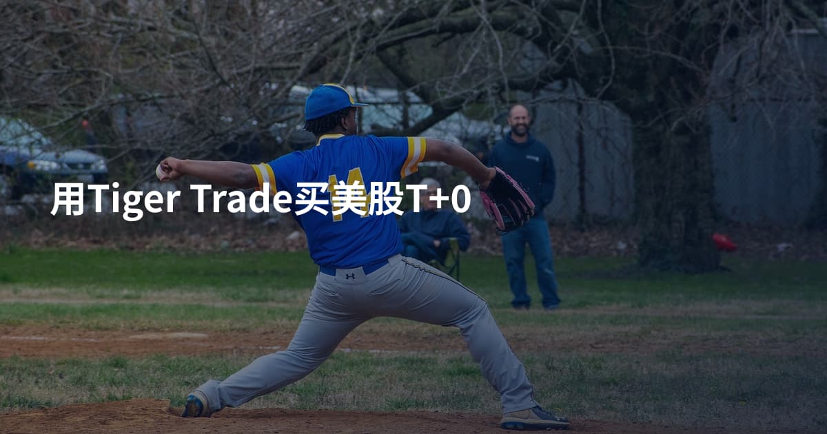 用Tiger Trade买美股T+0
