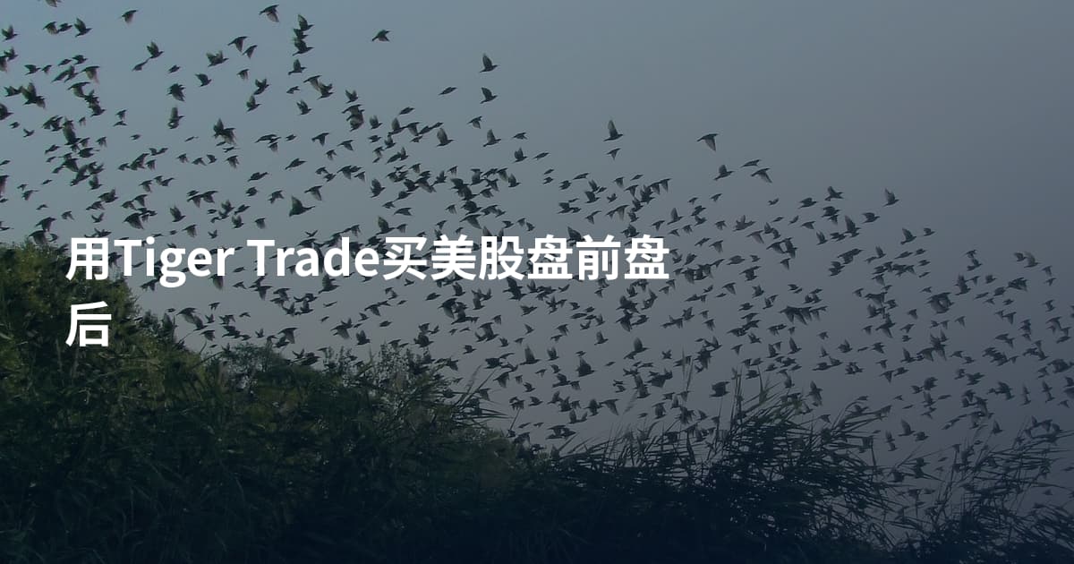 用Tiger Trade买美股盘前盘后