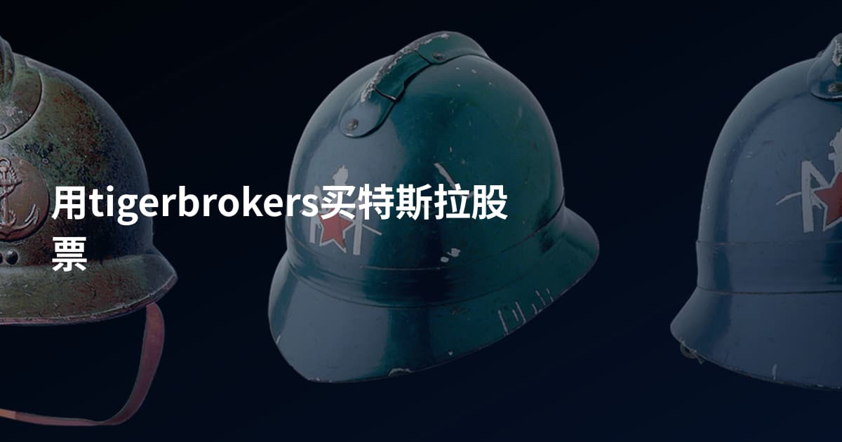 用tigerbrokers买特斯拉股票