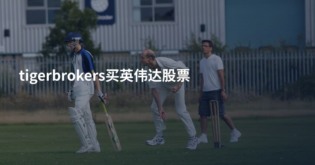 tigerbrokers买英伟达股票
