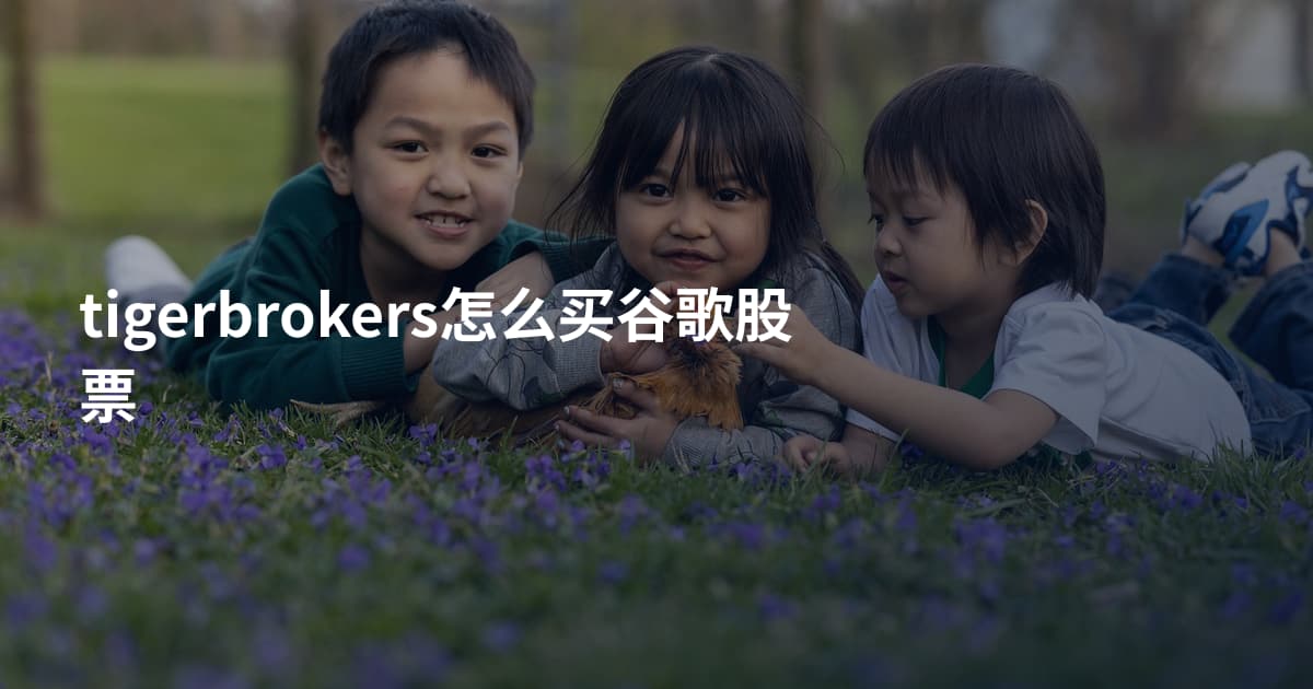 tigerbrokers怎么买谷歌股票