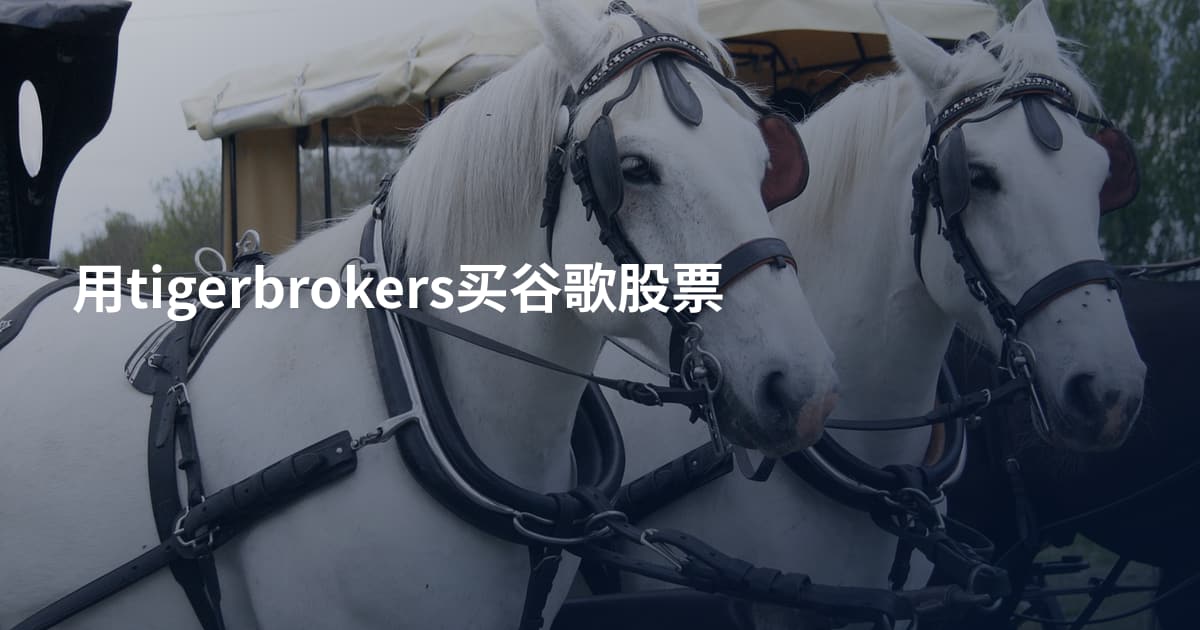 用tigerbrokers买谷歌股票