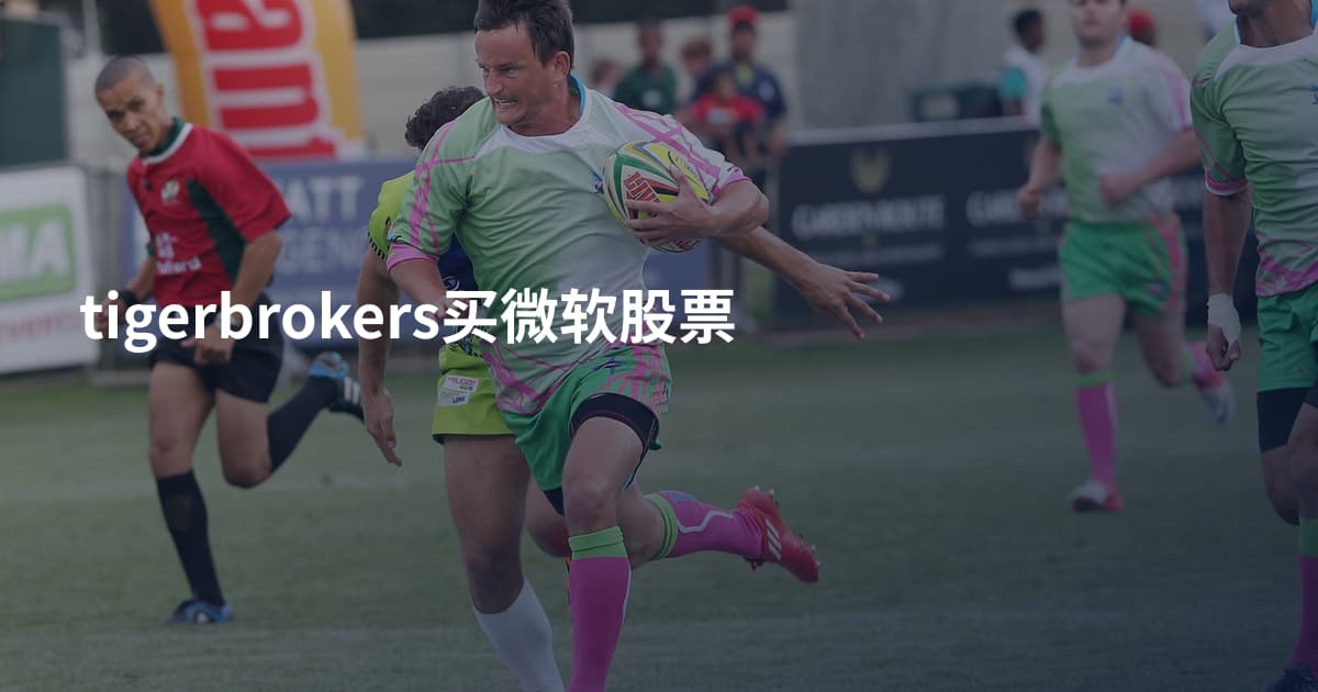 tigerbrokers买微软股票