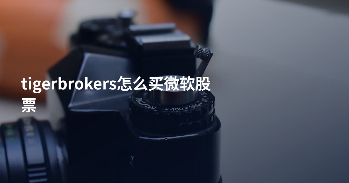 tigerbrokers怎么买微软股票