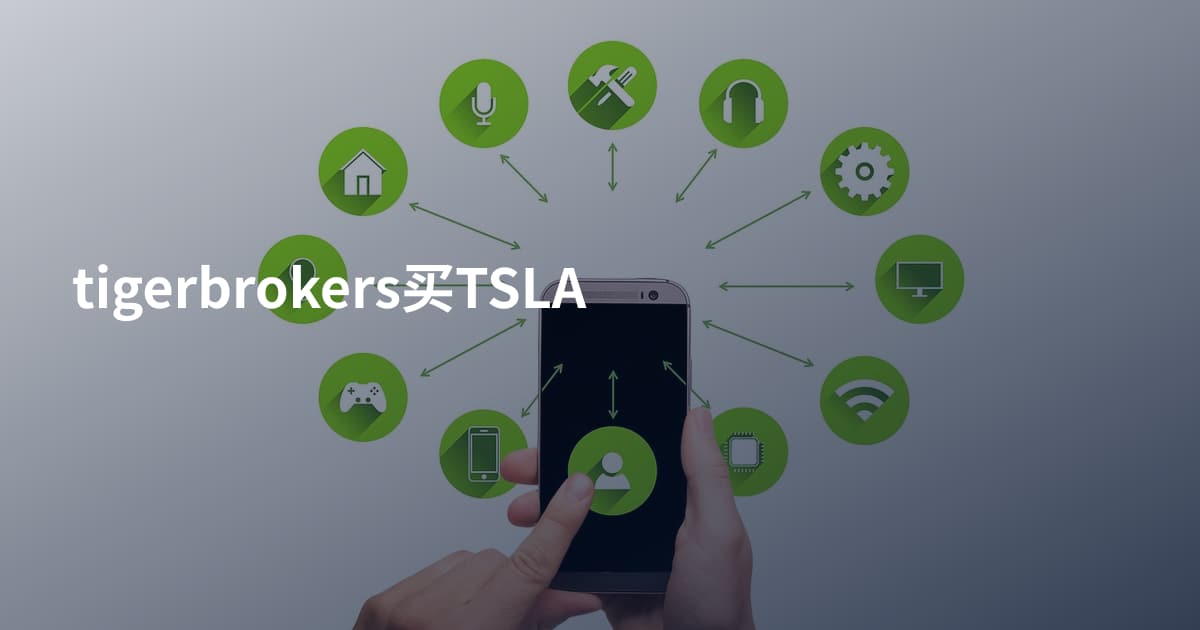 tigerbrokers买TSLA