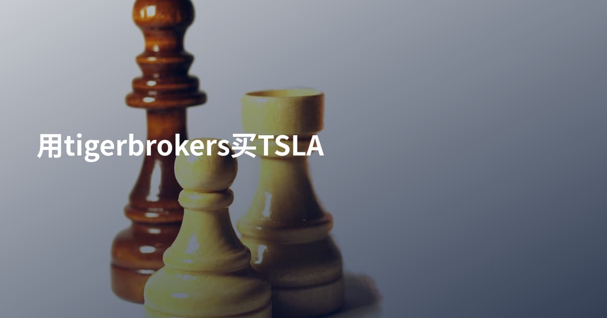 用tigerbrokers买TSLA