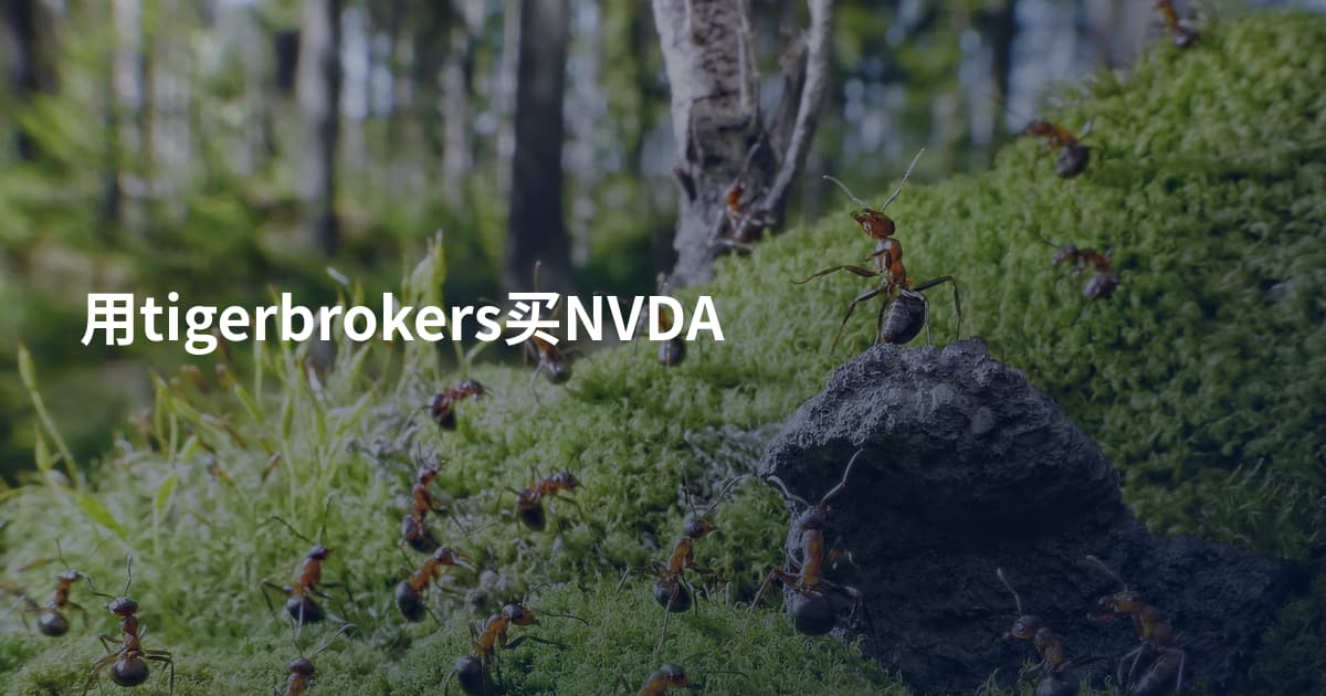 用tigerbrokers买NVDA