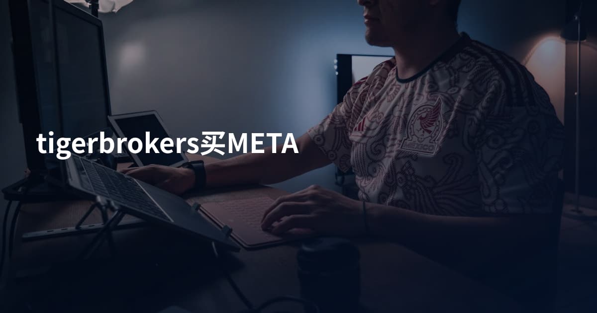 tigerbrokers买META