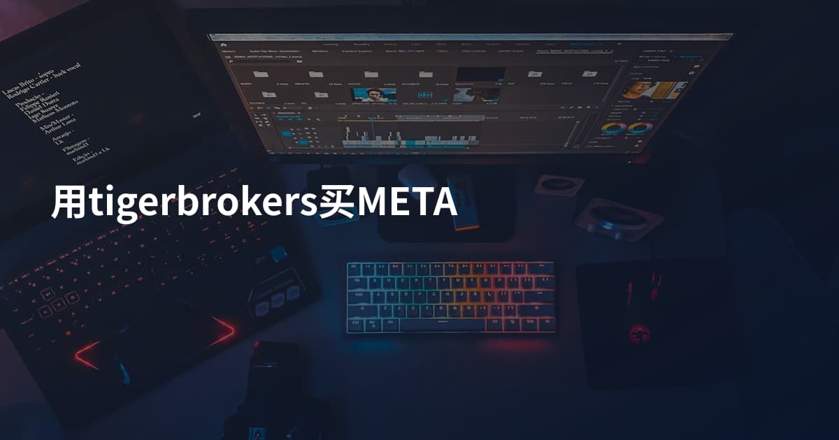 用tigerbrokers买META