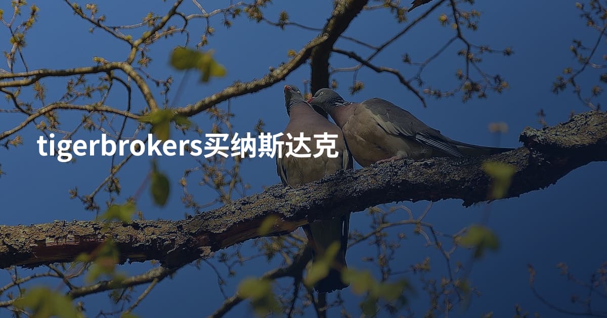 tigerbrokers买纳斯达克