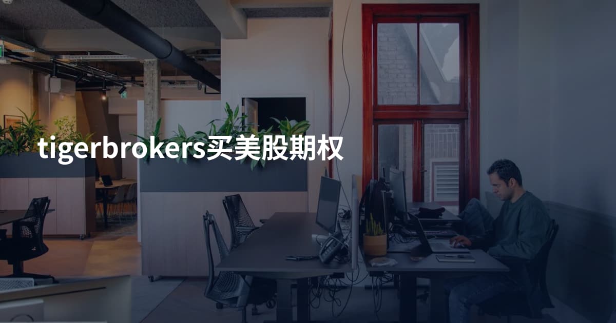 tigerbrokers买美股期权