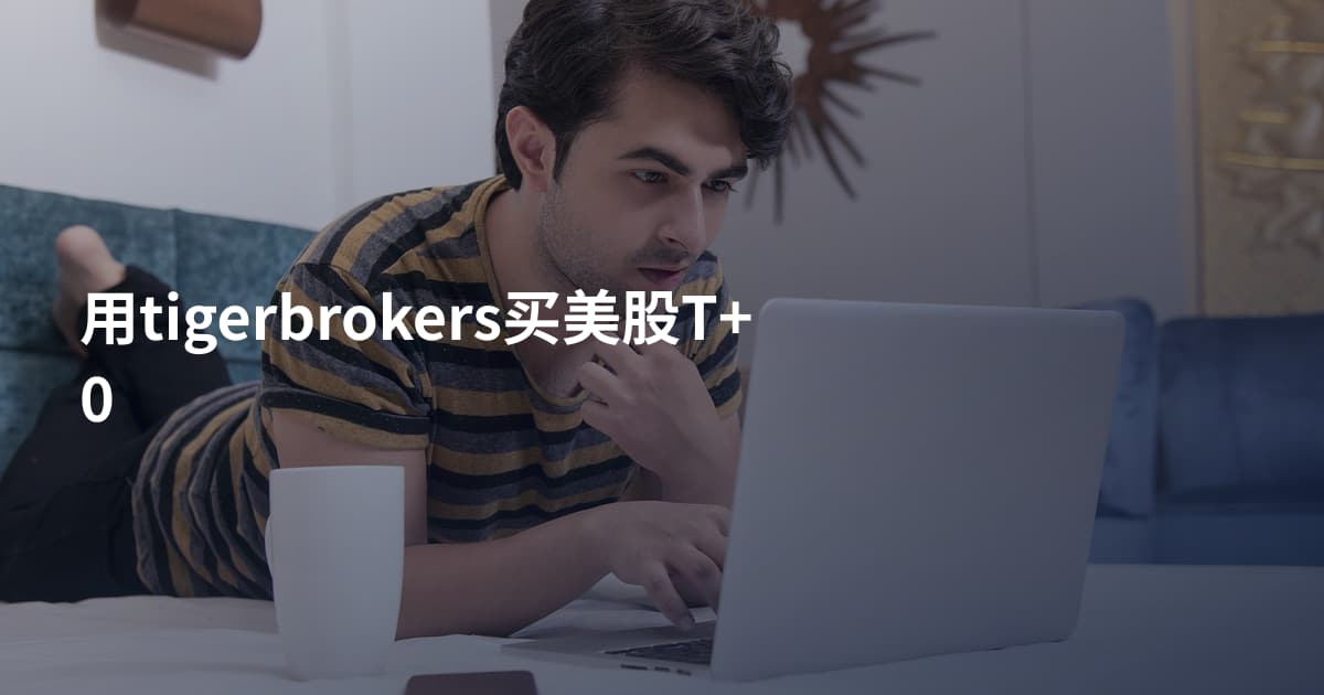 用tigerbrokers买美股T+0